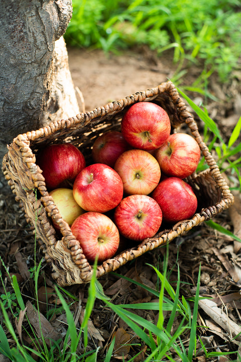 Organic Gala Apples