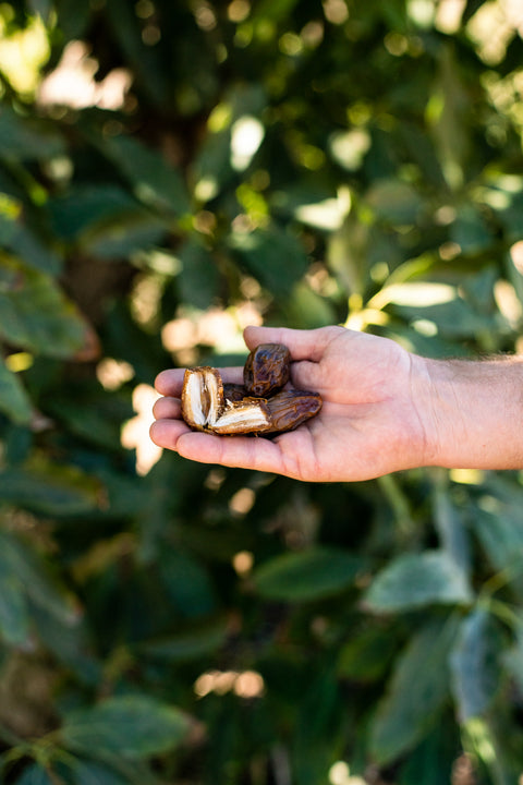 California Medjool Dates