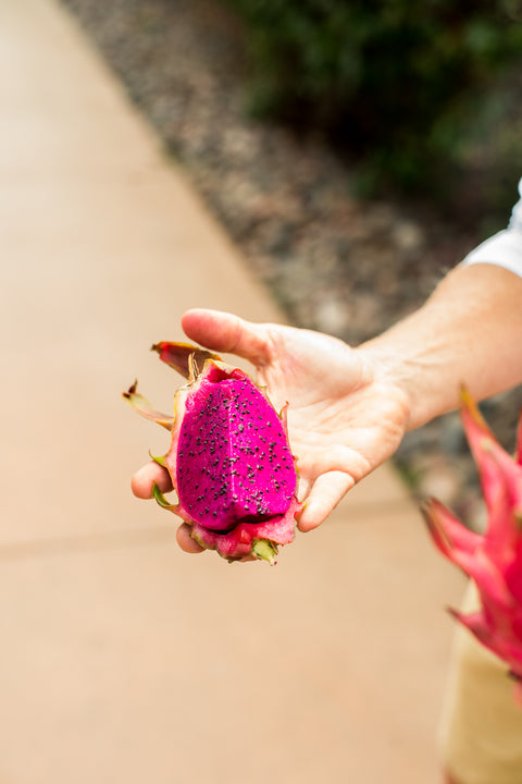 Organic Dragon Fruit