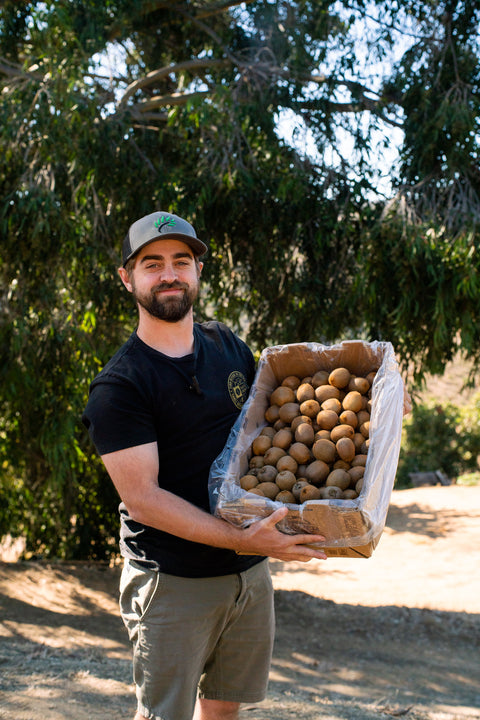 Organic California Green Kiwi