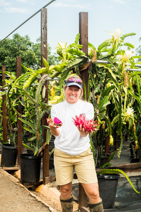 Organic Dragon Fruit