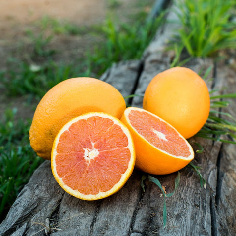 Organic Cara Cara Navel Oranges