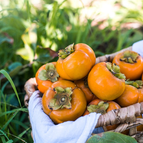 Organic Fuyu Persimmons