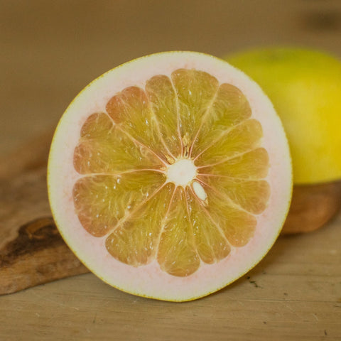 Organic Chandler Pomelo